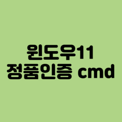 윈도우11-정품인증-cmd